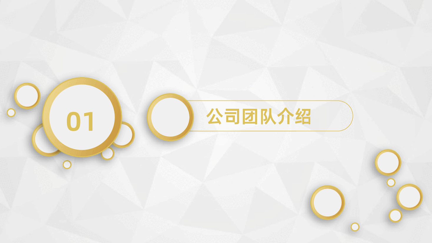高端企业公司融资投资商业计划书PPT.pptx,第4页预览