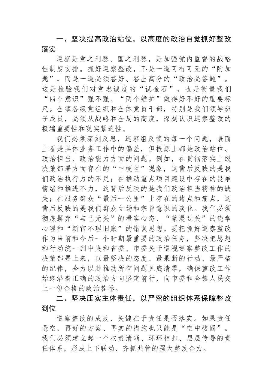 在2025年镇党委巡察整改专题民主生活会上的总结讲话.docx,第2页预览