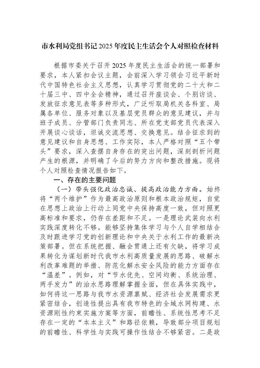 市水利局党组书记2025年度民主生活会个人对照检查材料.docx，第1页预览