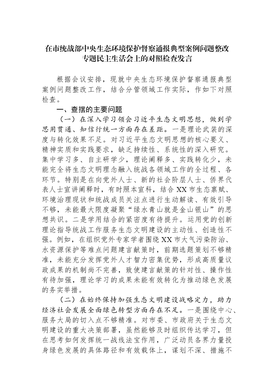 在市统战部中央生态环境保护督察通报典型案例问题整改专题民主生活会上的对照检查发言.docx,第1页预览
