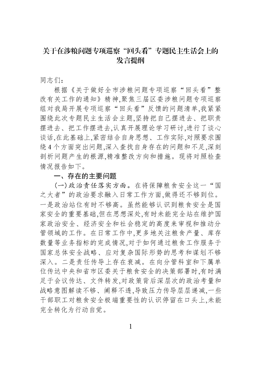 关于在涉粮问题专项巡察“回头看”专题民主生活会上的发言提纲.docx,第1页预览
