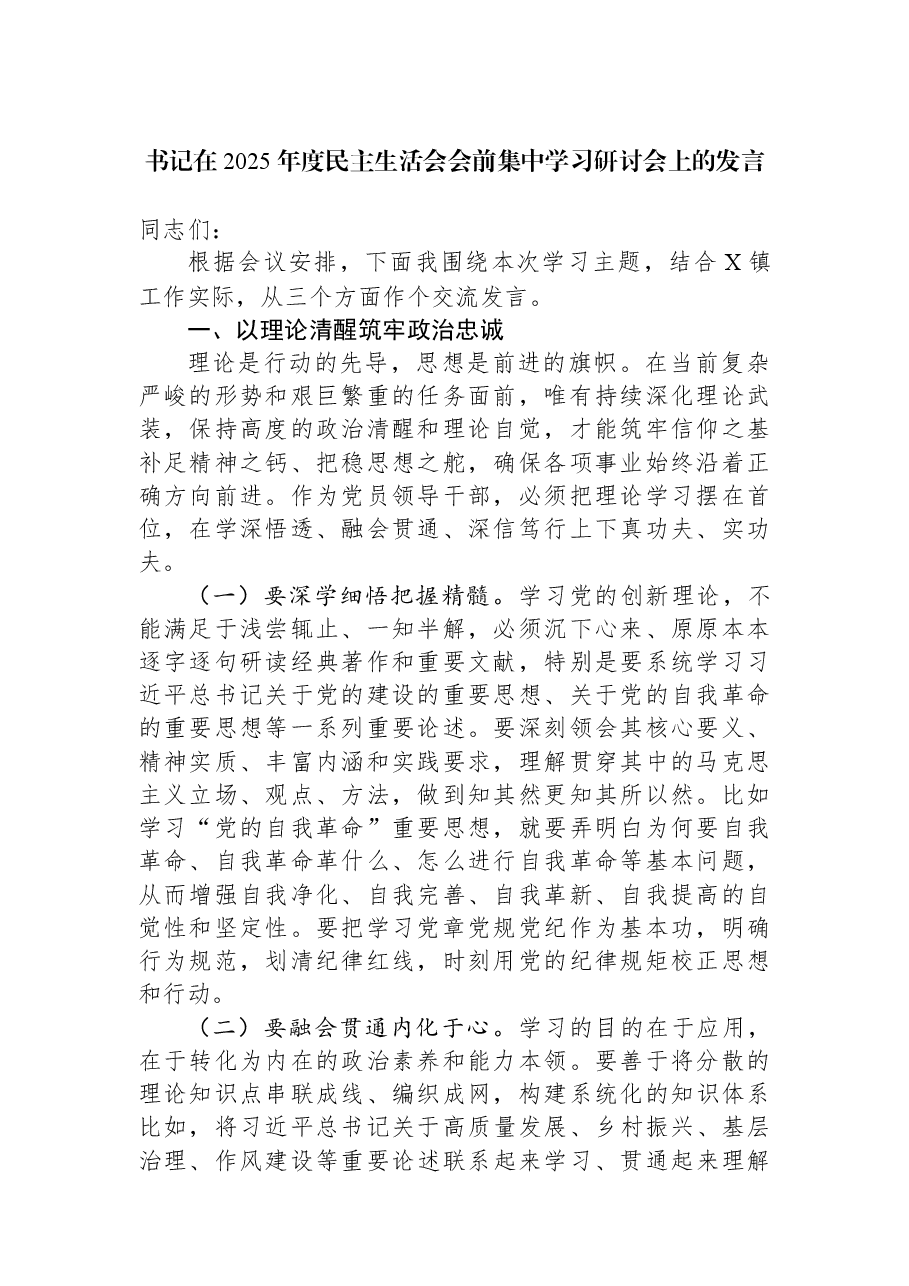 书记在2025年度民主生活会会前集中学习研讨会上的发言.docx,第1页预览