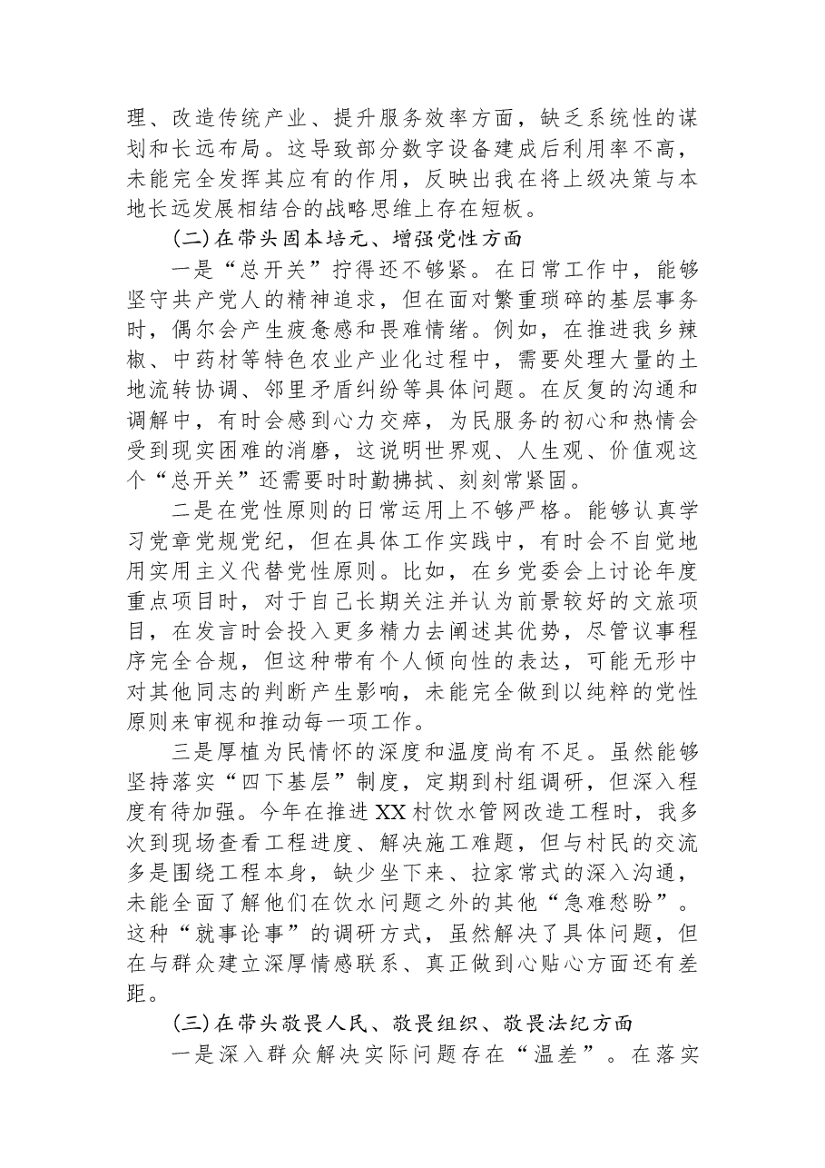 XX乡党委书记2025年度民主生活会个人对照检查材料(五个带头).docx,第2页预览