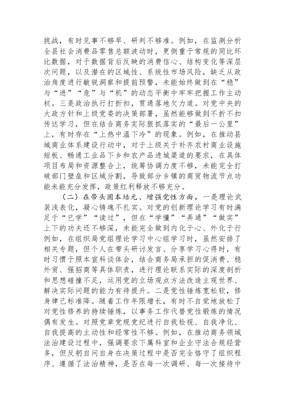 商务局党组书记2025年度民主生活会个人对照检查材料(五个带头).docx,第2页预览