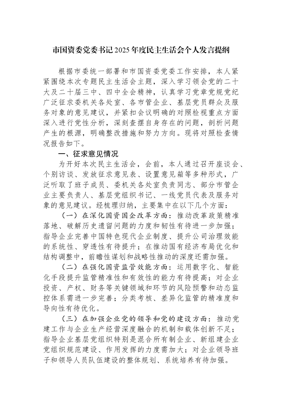 市国资委党委书记2025年度民主生活会个人发言提纲.docx,第1页预览