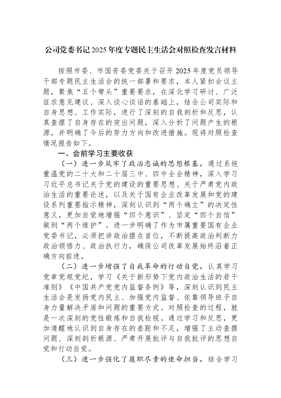 公司党委书记2025年度专题民主生活会对照检查发言材料.docx,第1页预览