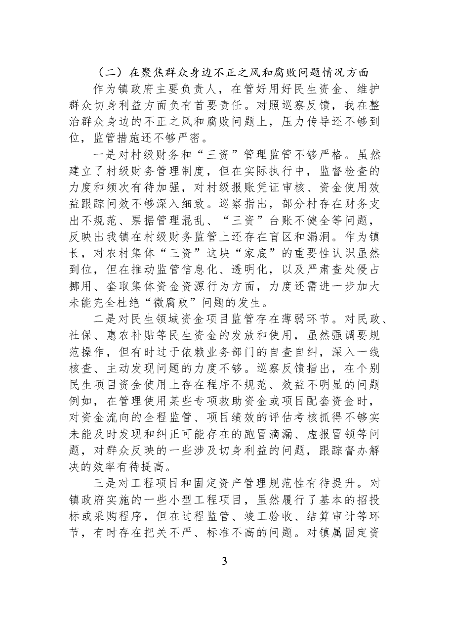 乡镇长巡察整改专题民主生活会对照检查材料.docx,第3页预览