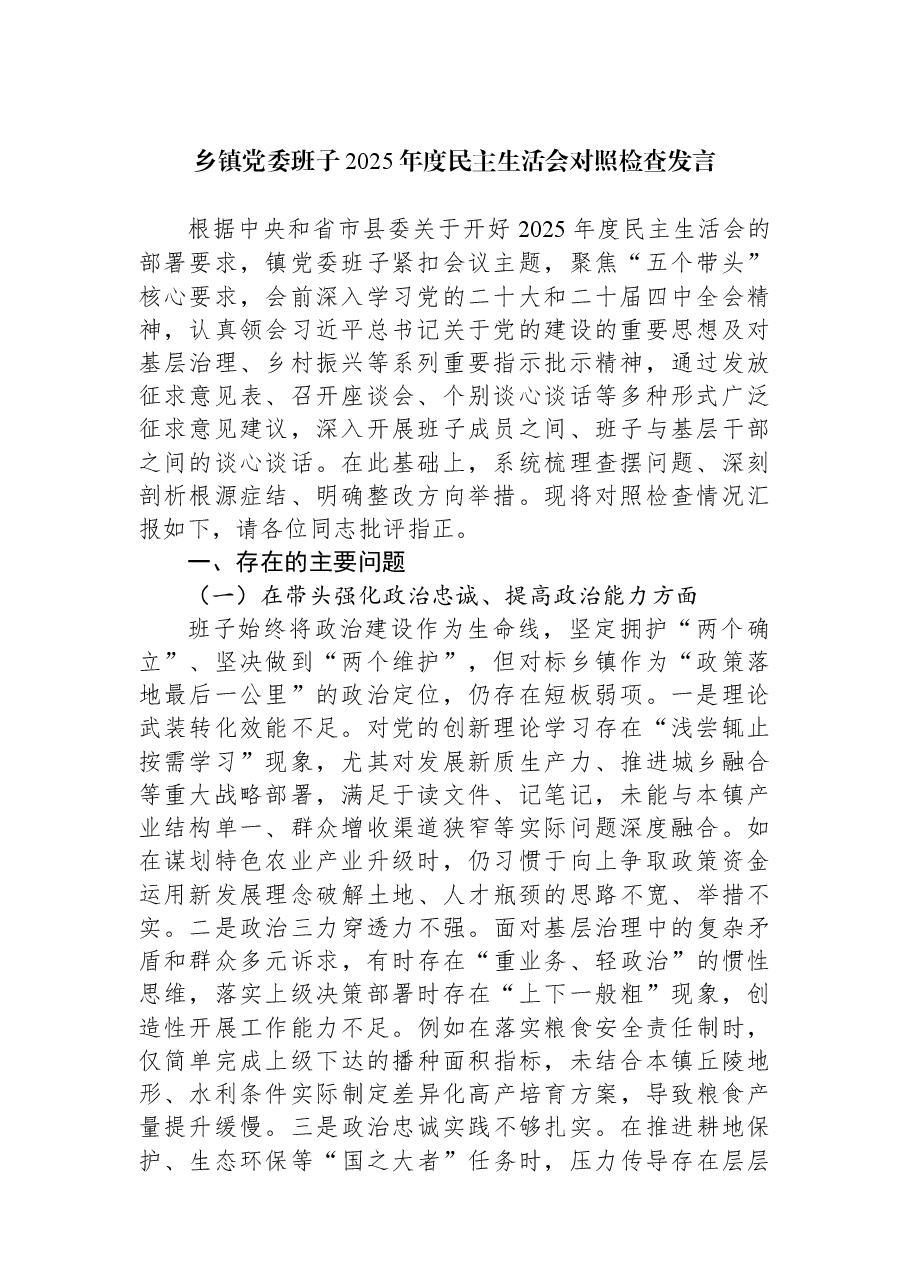 乡镇党委班子2025年度民主生活会对照检查发言.docx,第1页预览