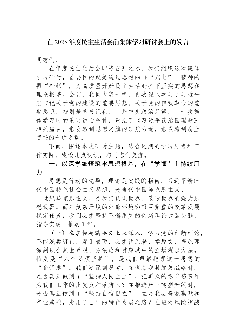 在2025年度民主生活会前集体学习研讨会上的发言.docx,第1页预览