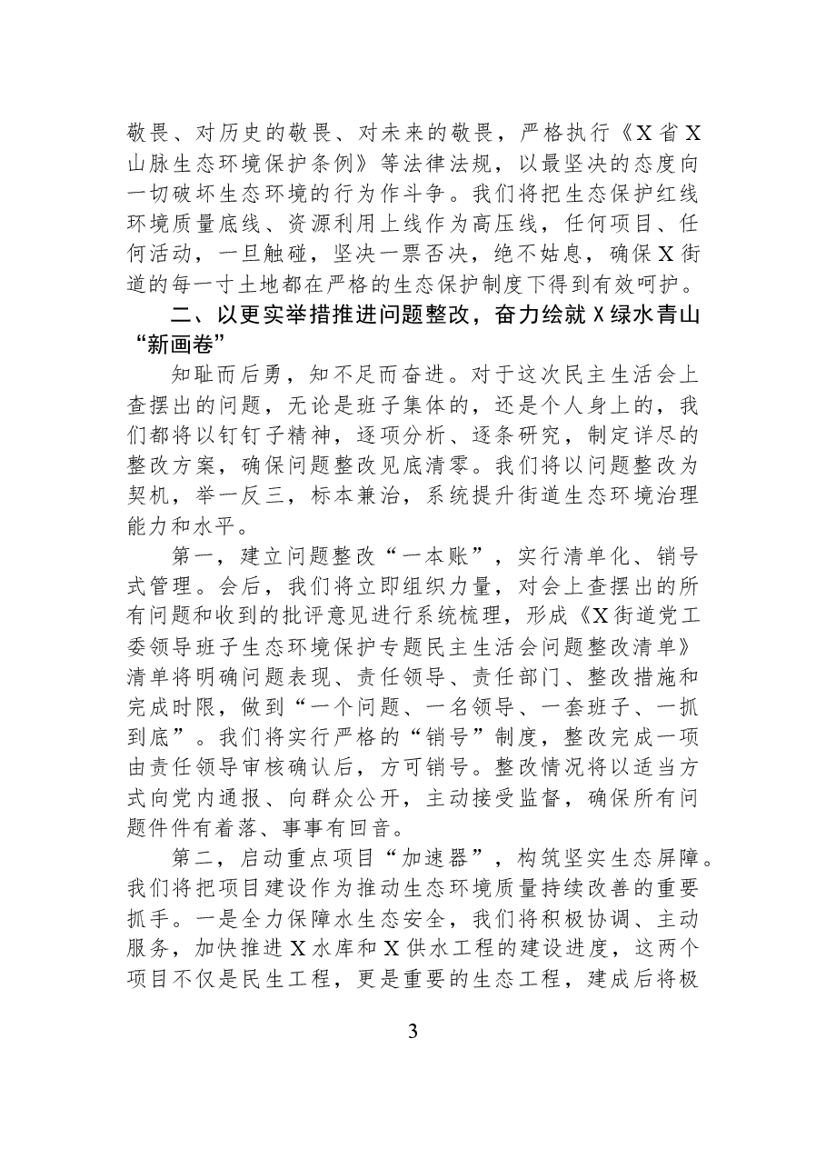 在2025年街道党工委领导班子生态环境保护专题民主生活会上的表态发言.docx,第3页预览