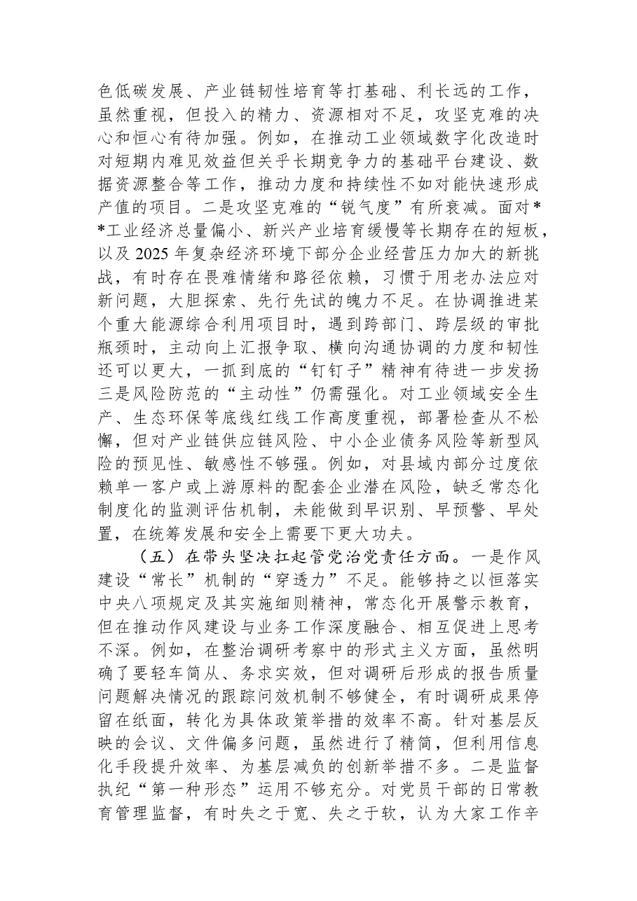 工信局党组书记2025年度民主生活会个人对照检查材料(五个带头).docx,第4页预览