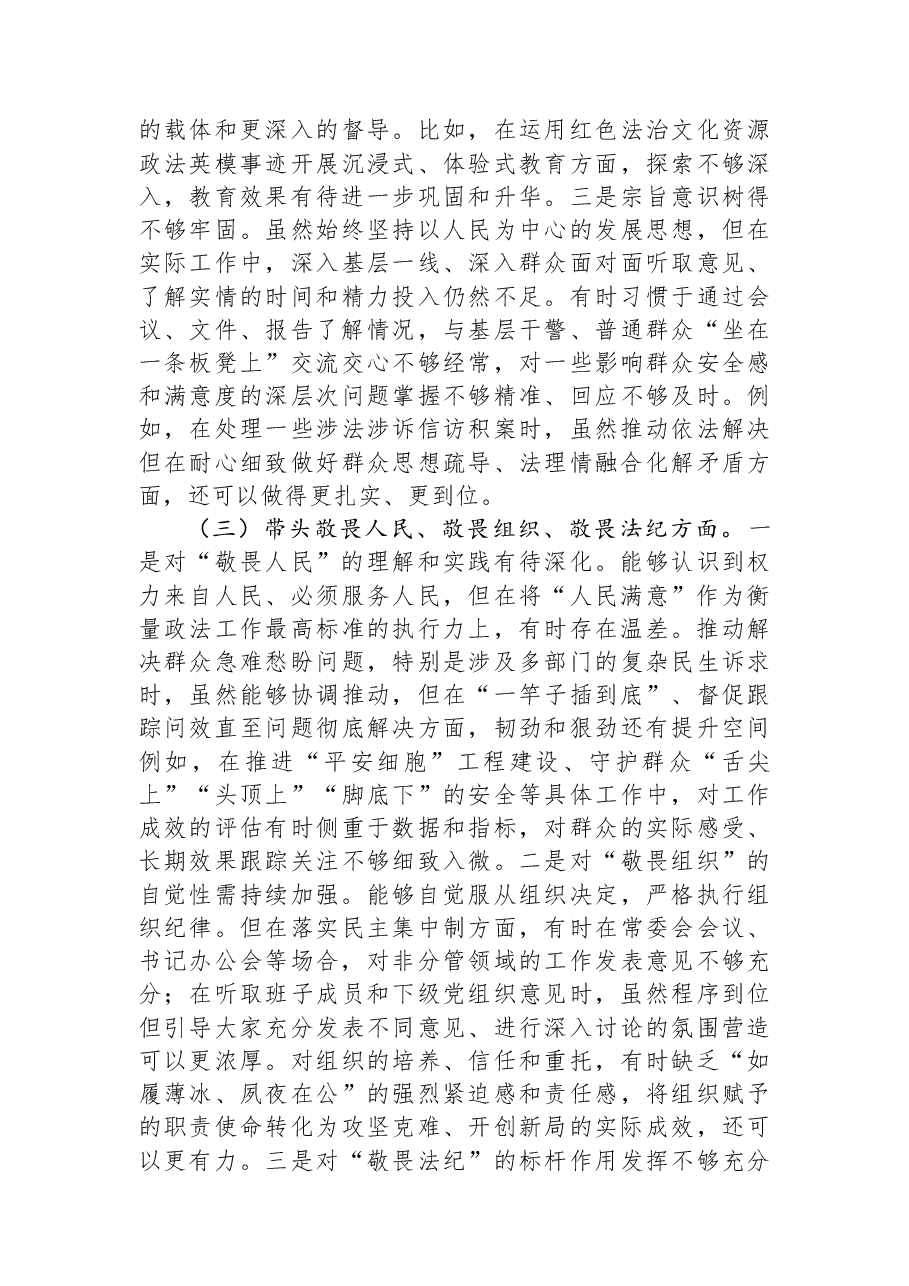 市委政法委书记2025年度专题民主生活会个人对照检查材料.docx,第3页预览