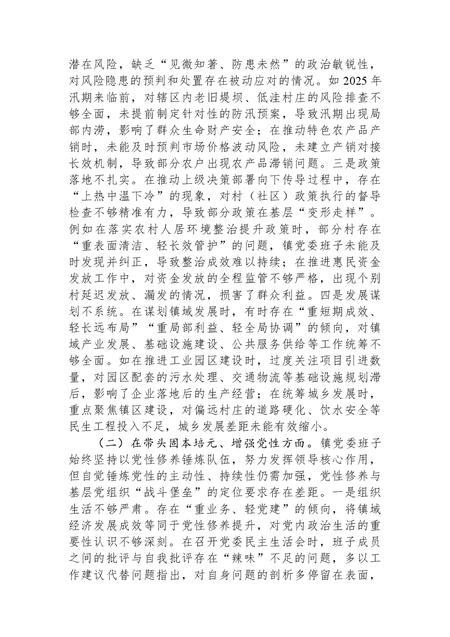 镇党委班子2025年度民主生活会“五个带头”对照检查发言.docx,第2页预览