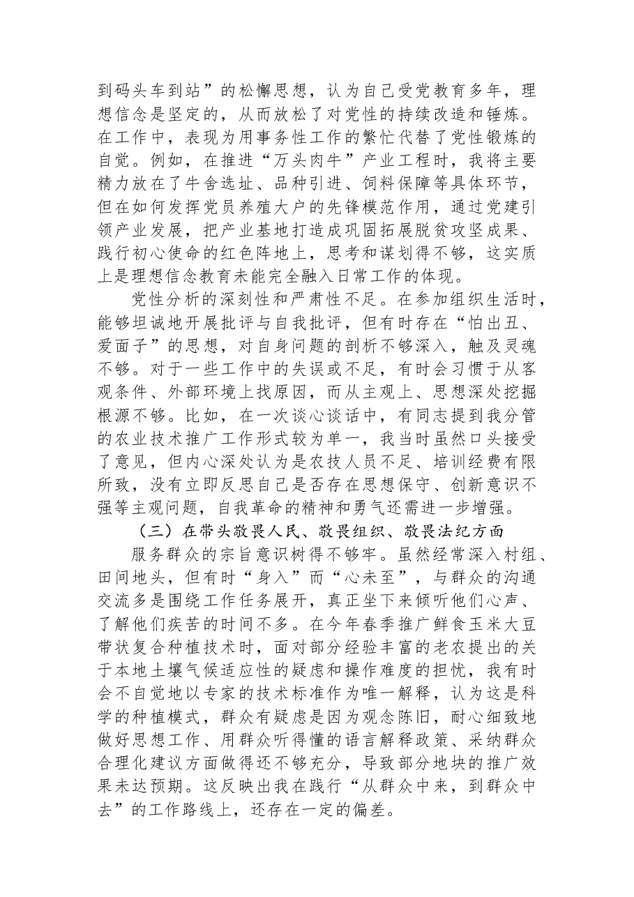 XX县XX镇副镇长2025年度民主生活会对照检查材料(五个带头).docx,第3页预览