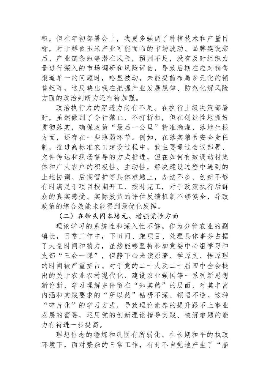 XX县XX镇副镇长2025年度民主生活会对照检查材料(五个带头).docx,第2页预览
