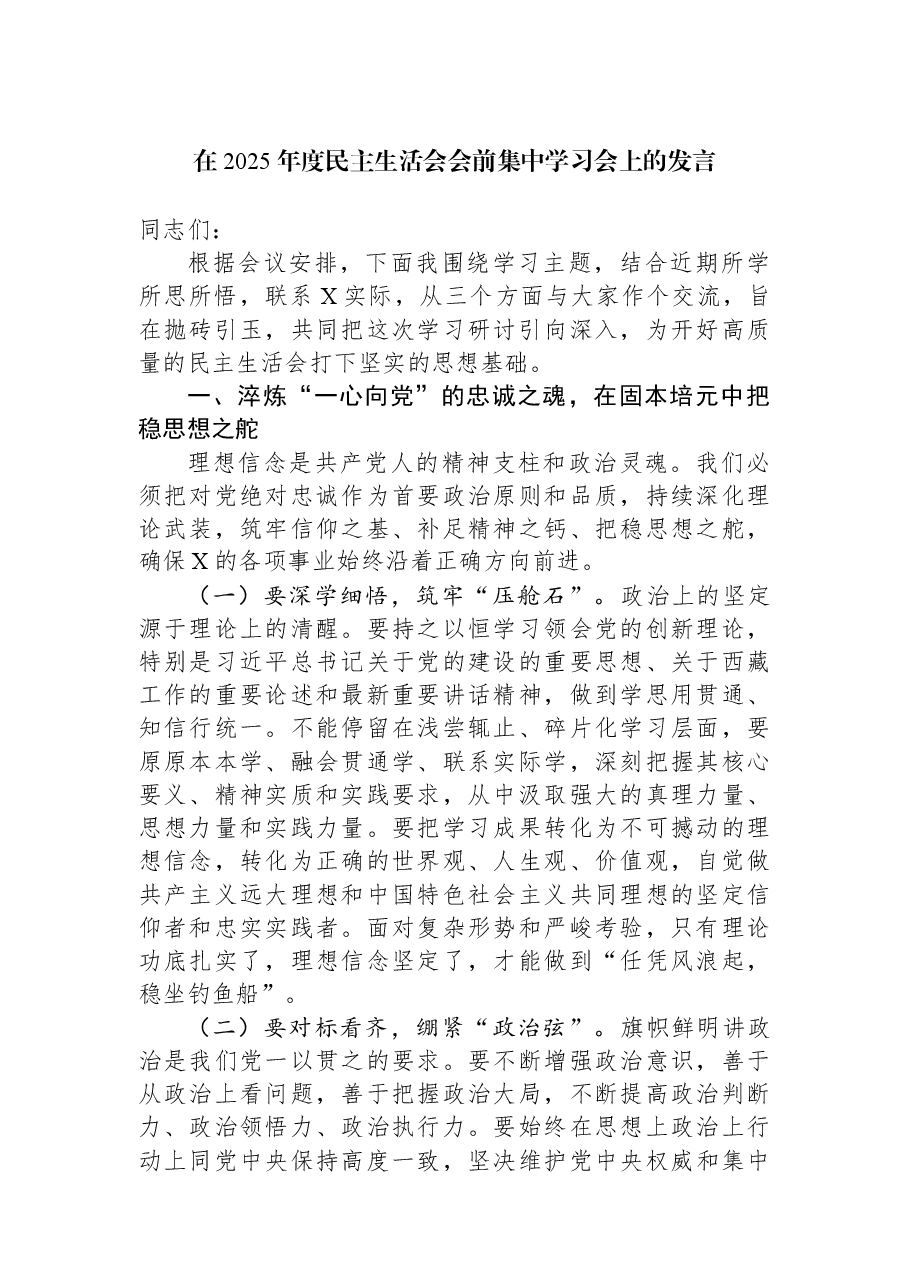 在2025年度民主生活会会前集中学习会上的发言.docx,第1页预览
