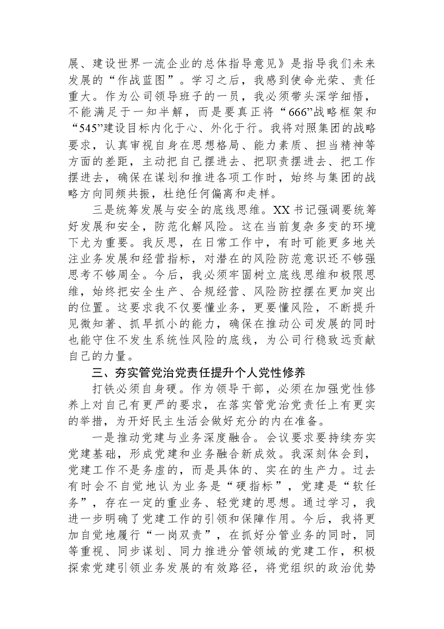国企班子成员2025年民主生活会会前研讨发言材料.docx,第3页预览
