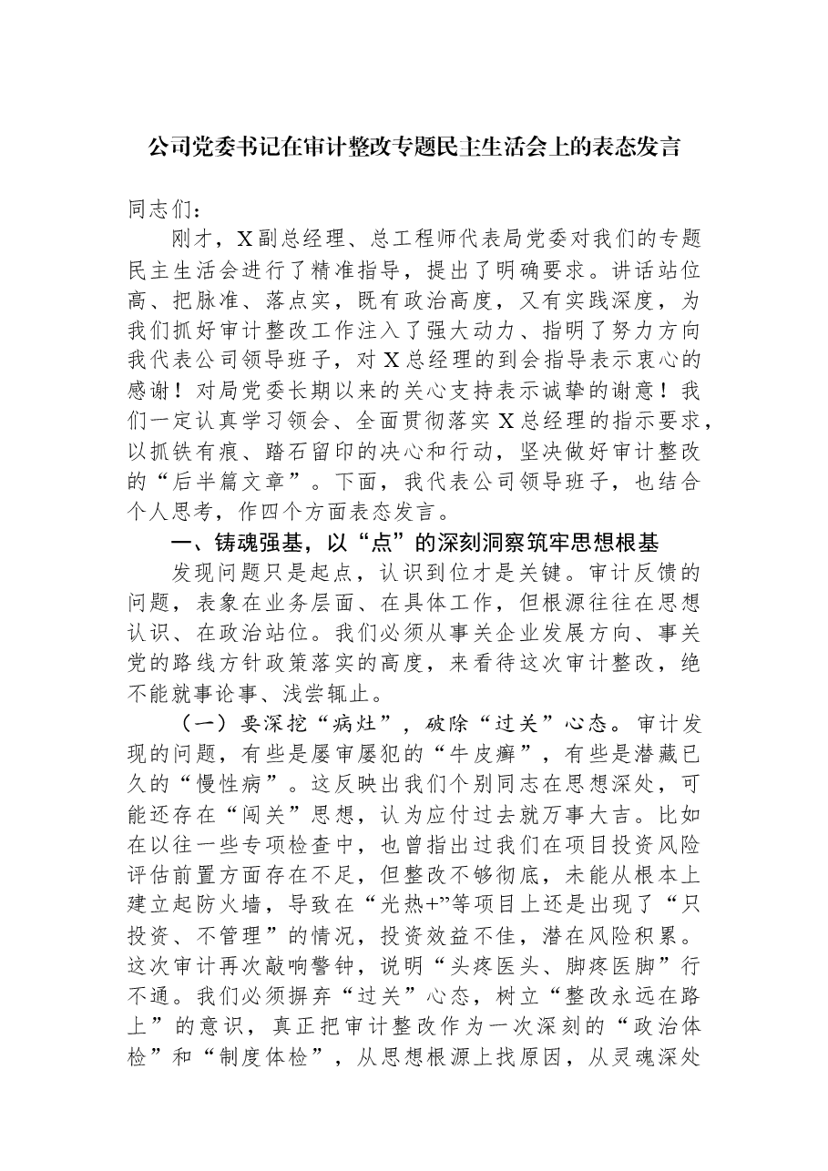 公司党委书记在审计整改专题民主生活会上的表态发言.docx,第1页预览