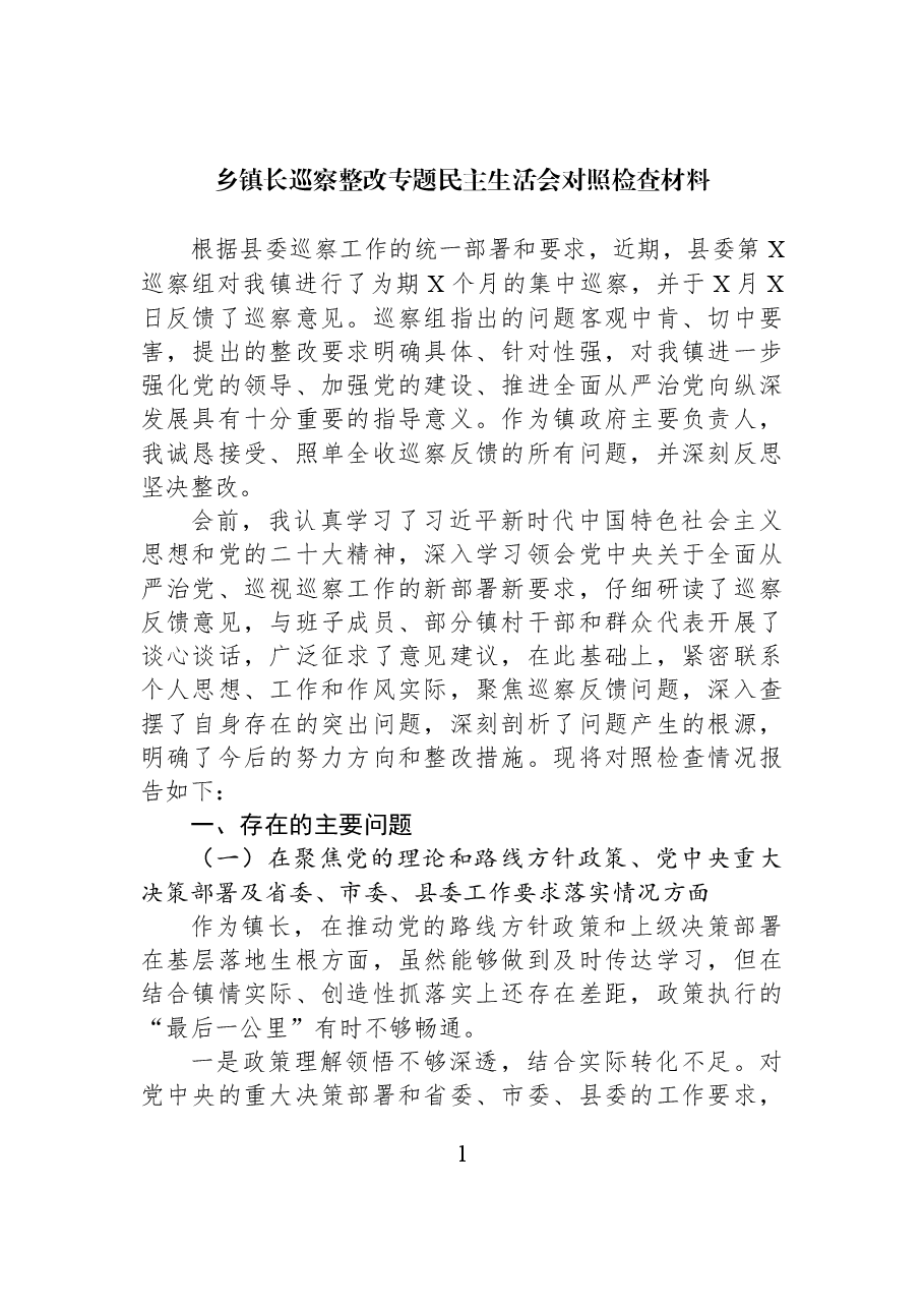 乡镇长巡察整改专题民主生活会对照检查材料.docx,第1页预览