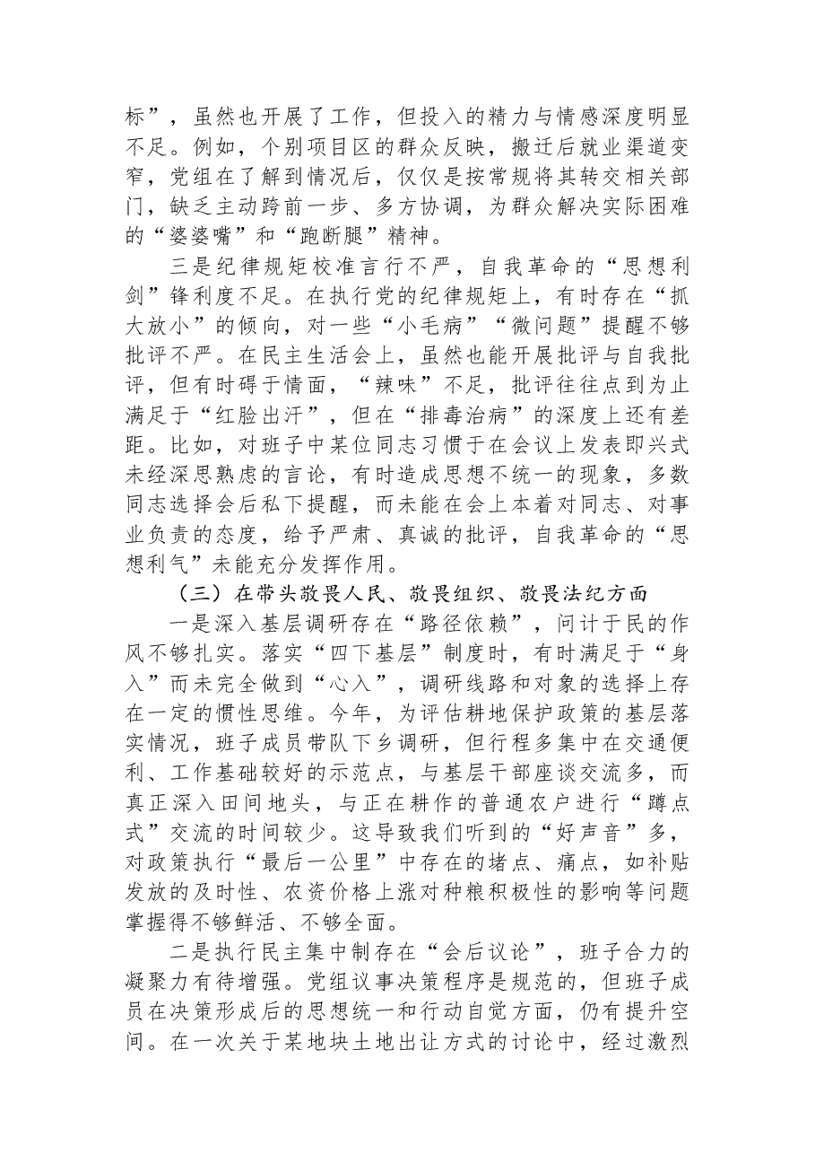 局党组2025年度民主生活会班子对照检查材料(五个带头).docx,第3页预览