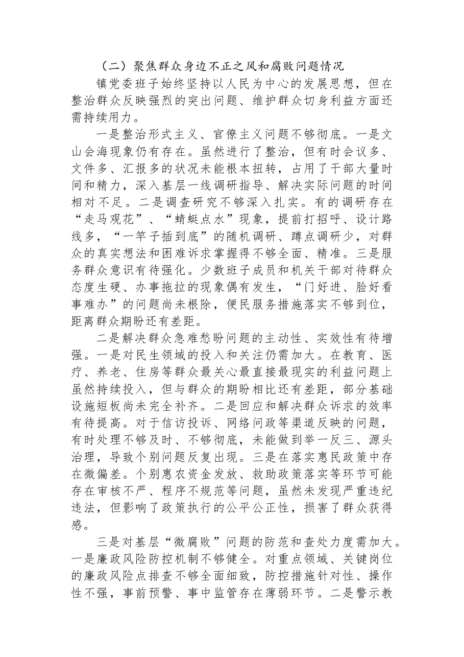 镇党委班子巡察整改专题民主生活会对照检查材料.docx,第3页预览