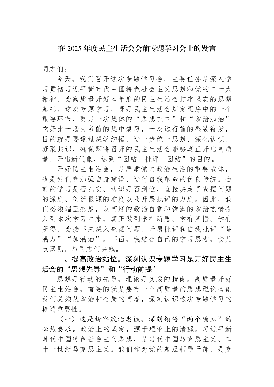 在2025年度民主生活会会前专题学习会上的发言.docx，第1页预览