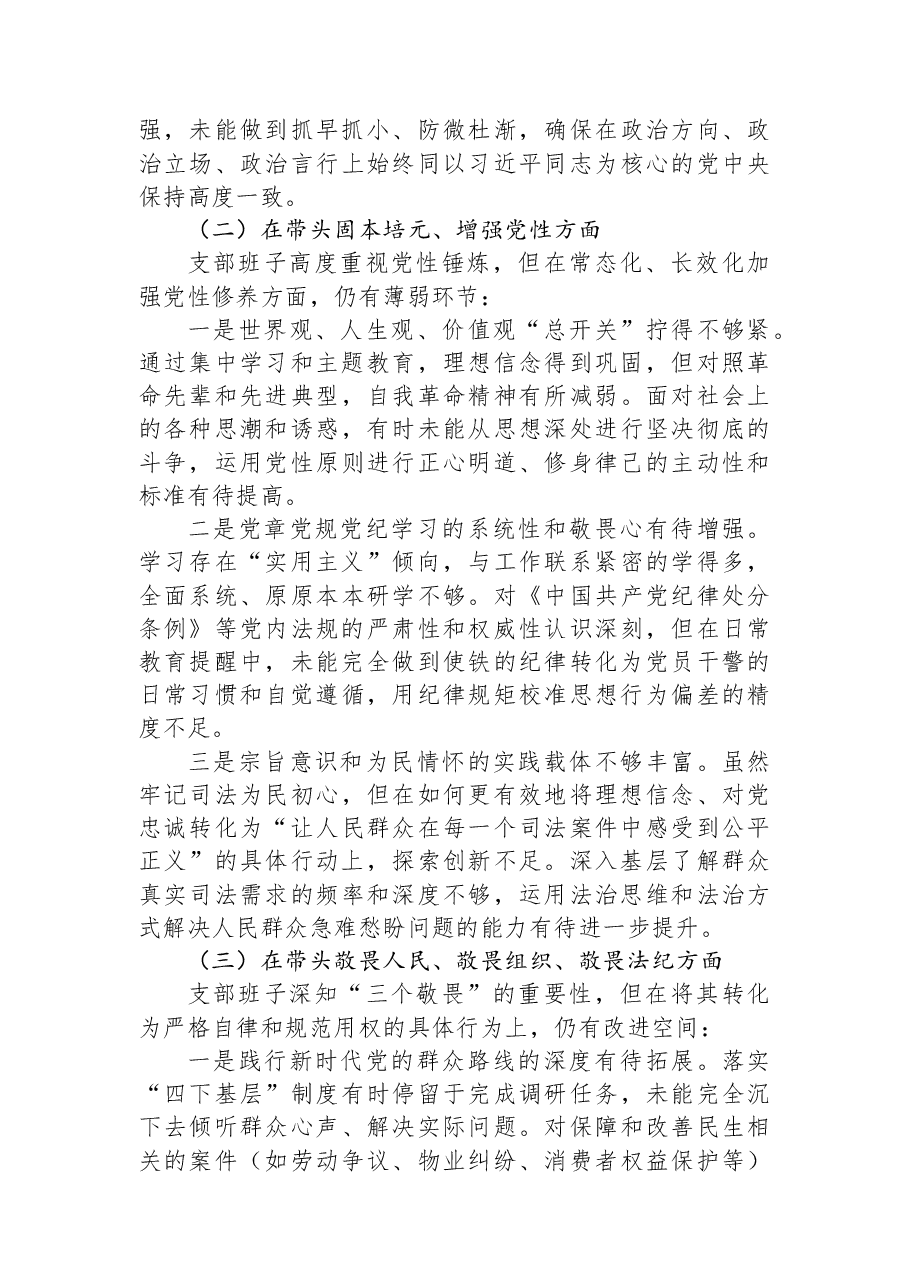 XX法院支部班子2025年度组织生活会对照检查材料.docx，第2页预览