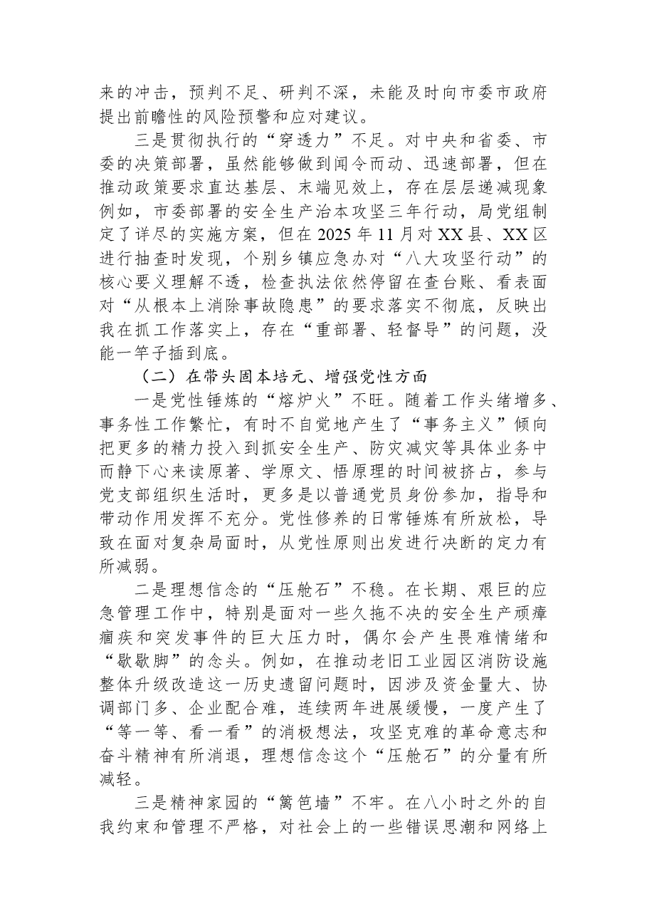 市应急管理局党组书记2025年度民主生活会个人对照检查材料(带案例).docx,第2页预览