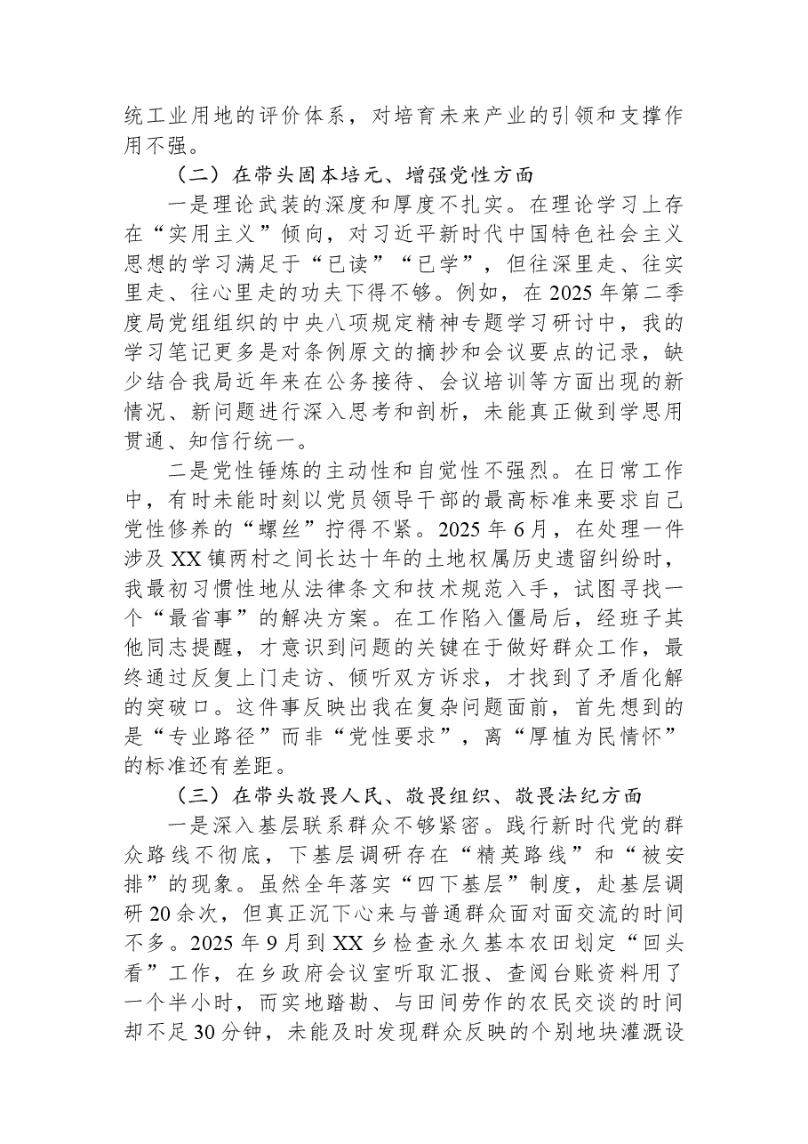 XX区自然资源局党组书记、局长XX同志2025年度民主生活会个人对照检查材料.docx,第2页预览