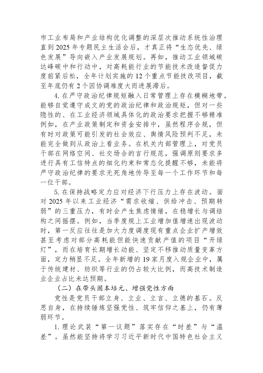 市工业和信息化局主要负责人2025年度民主生活会个人对照检视发言材料.docx,第3页预览