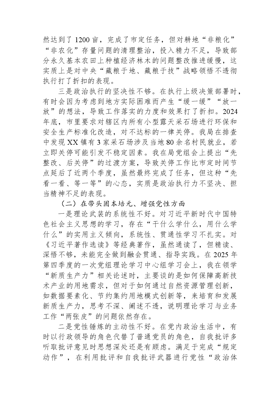 县自然资源局主要领导2025年度民主生活会个人对照检查材料(带案例).docx,第2页预览