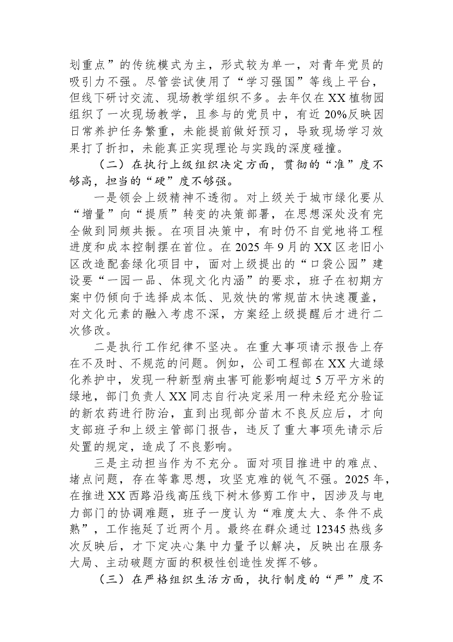 公司党支部2025年度组织生活会班子对照检查材料(六个对照).docx,第2页预览