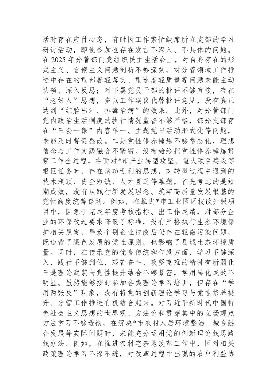 副市长2025年度民主生活会对照检查材料.docx,第3页预览