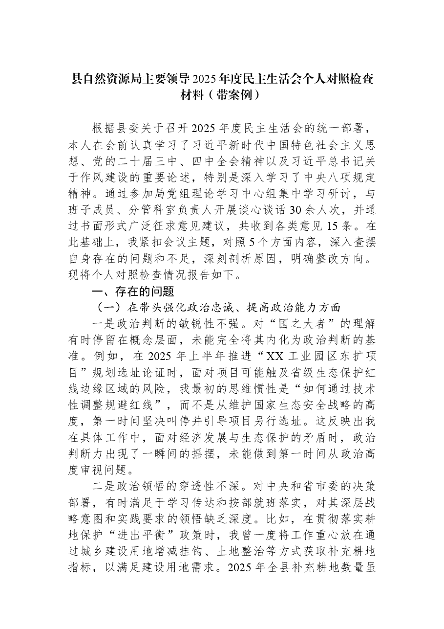 县自然资源局主要领导2025年度民主生活会个人对照检查材料(带案例).docx,第1页预览