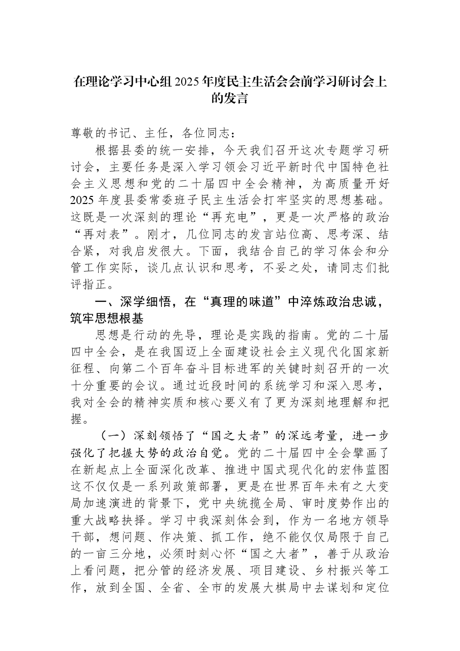 在理论学习中心组2025年度民主生活会会前学习研讨会上的发言.docx,第1页预览