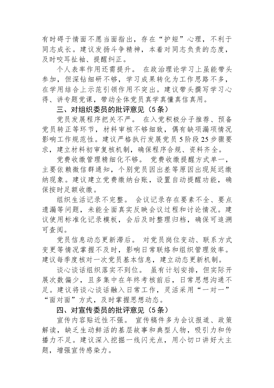 2025年度组织生活会对党支部及支委成员的批评意见参考.docx,第3页预览
