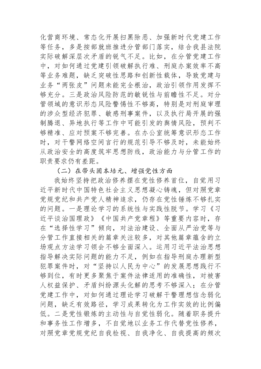 (2篇)县法院副院长2025年度民主生活会对照检查材料汇编.docx,第3页预览