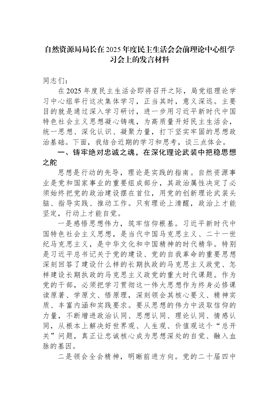 自然资源局局长在2025年度民主生活会会前理论中心组学习会上的发言材料.docx,第1页预览