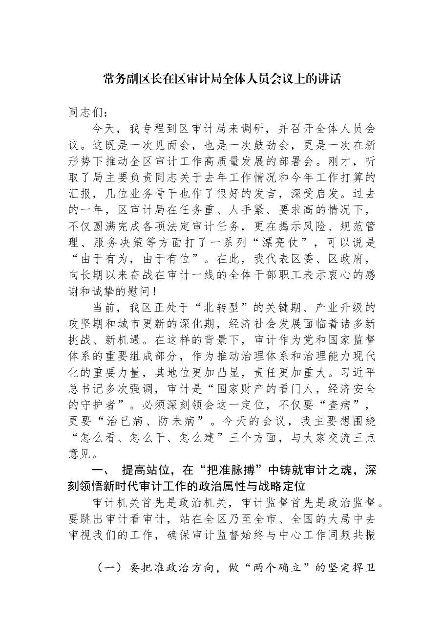 常务副区长在区审计局全体人员会议上的讲话.docx,第1页预览