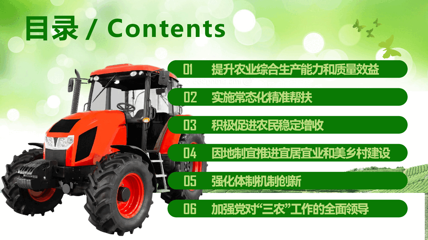 学习贯彻2026年一号文件PPT(附文稿):关于锚定农业农村现代化扎实推进乡村全面振兴的意见.pptx,第4页预览