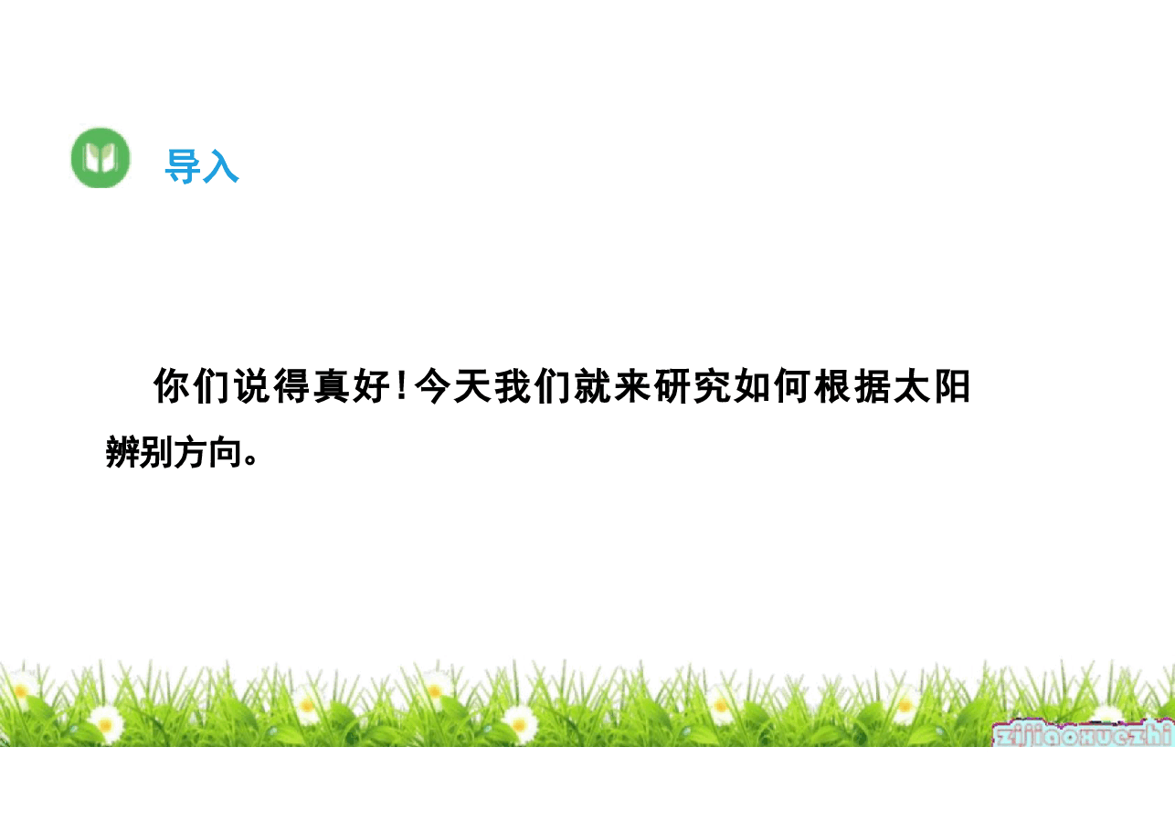 2026年教科版三年级下册科学全册新优教学-合集.pdf,第4页预览