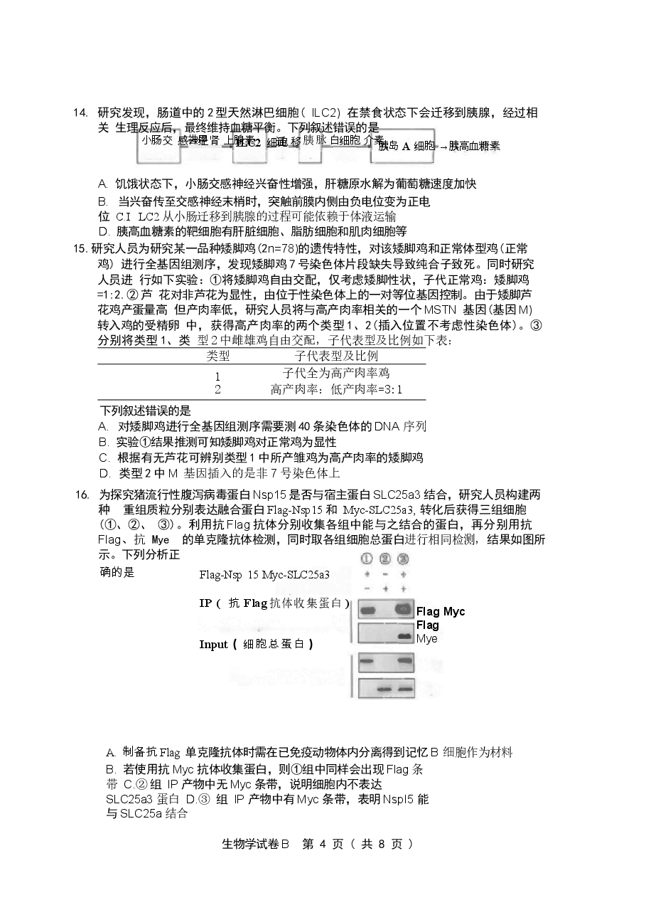 2026年广东省广州市2026届高三下学期4月二模试题 生物 含答案新版.docx,第4页预览