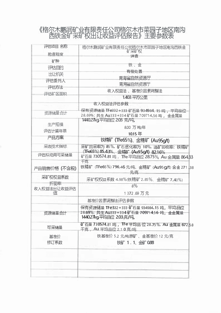《格尔木鹏润矿业有限责任公司格尔木市菜园子地区南沟西铁金矿采矿权出让收益评估报告》主要参数表 .docx，第1页预览