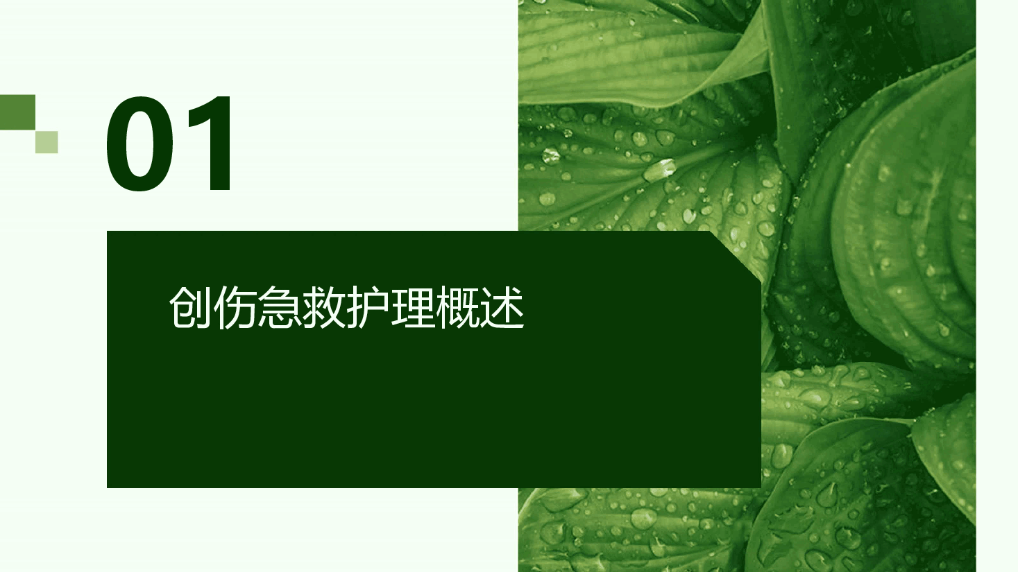 创伤急救护理.pptx，第3页预览