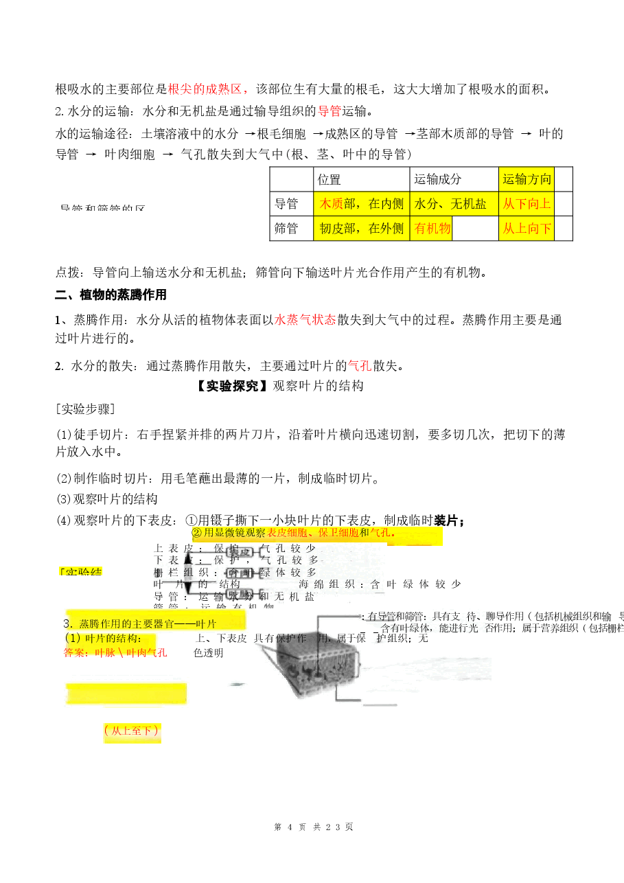 2026年【新教材】人教版(2024)七年级下册生物期末复习知识点背记提纲新版.docx,第4页预览