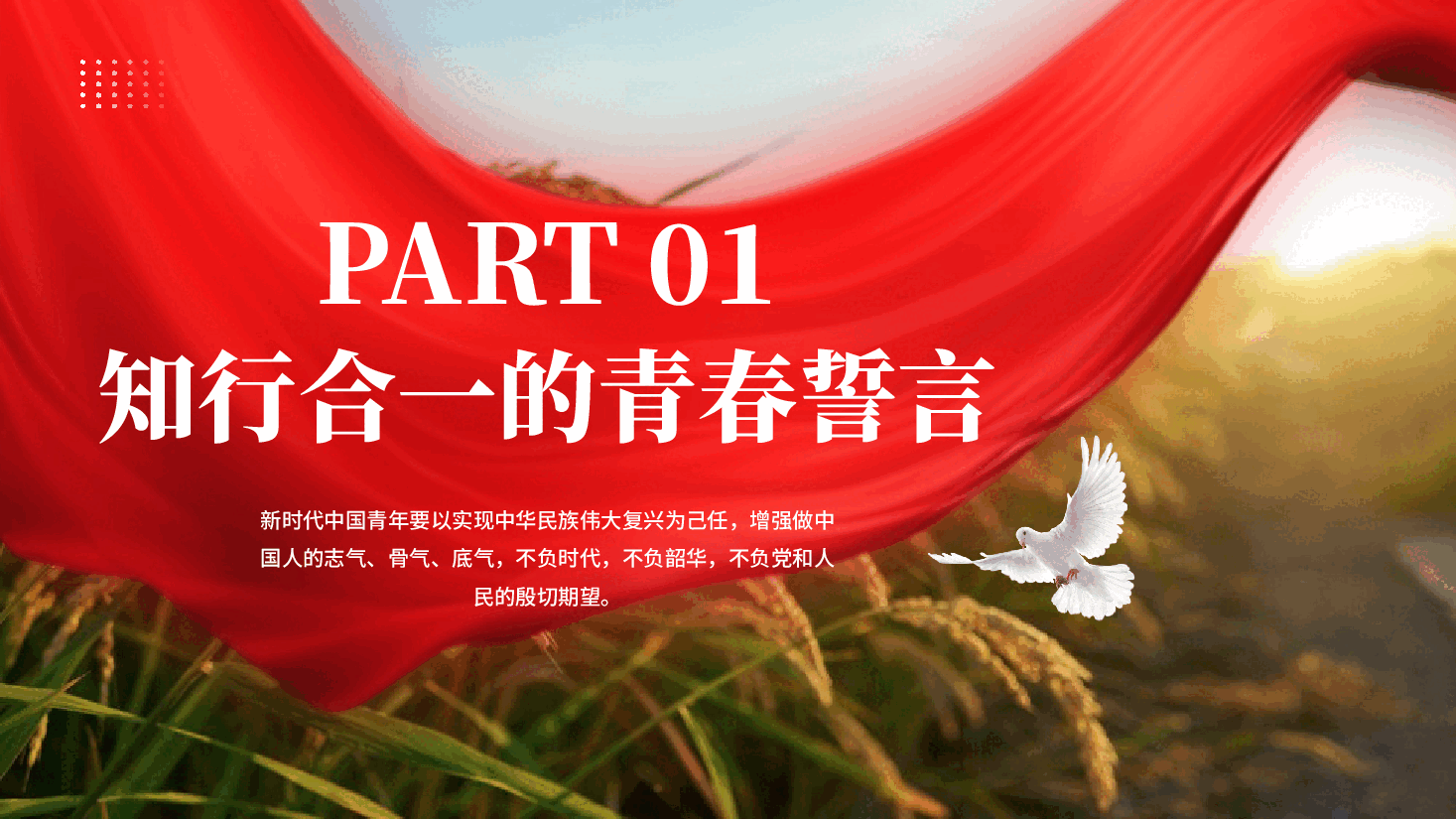 红色解变迁书写青春答卷大学生暑假寒假三下乡社会实践活动党课PPT.pptx,第3页预览