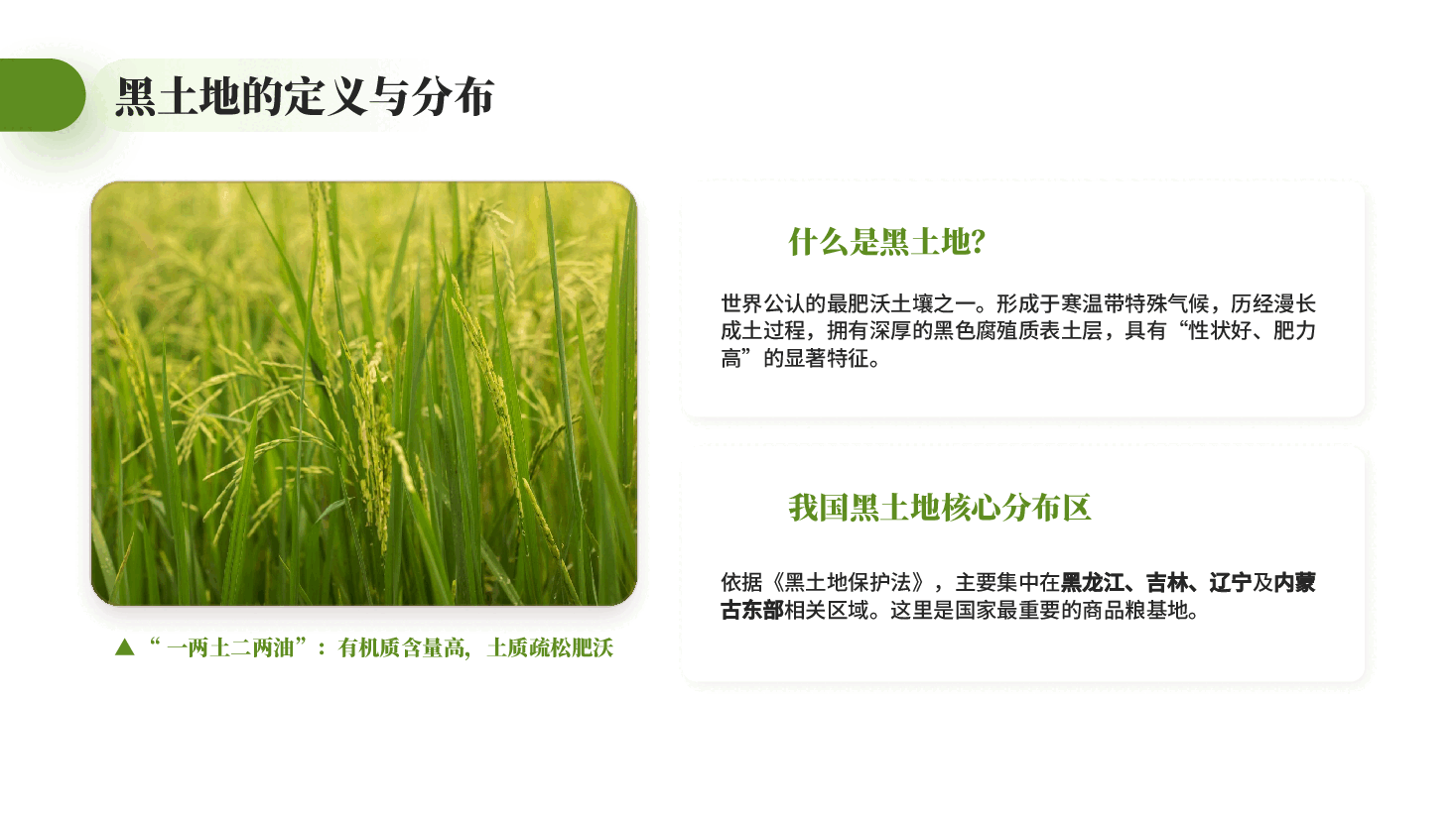 绿色黑土耕地保护守护耕地中的大熊猫粮食安全与生态平衡党课PPT.pptx,第4页预览