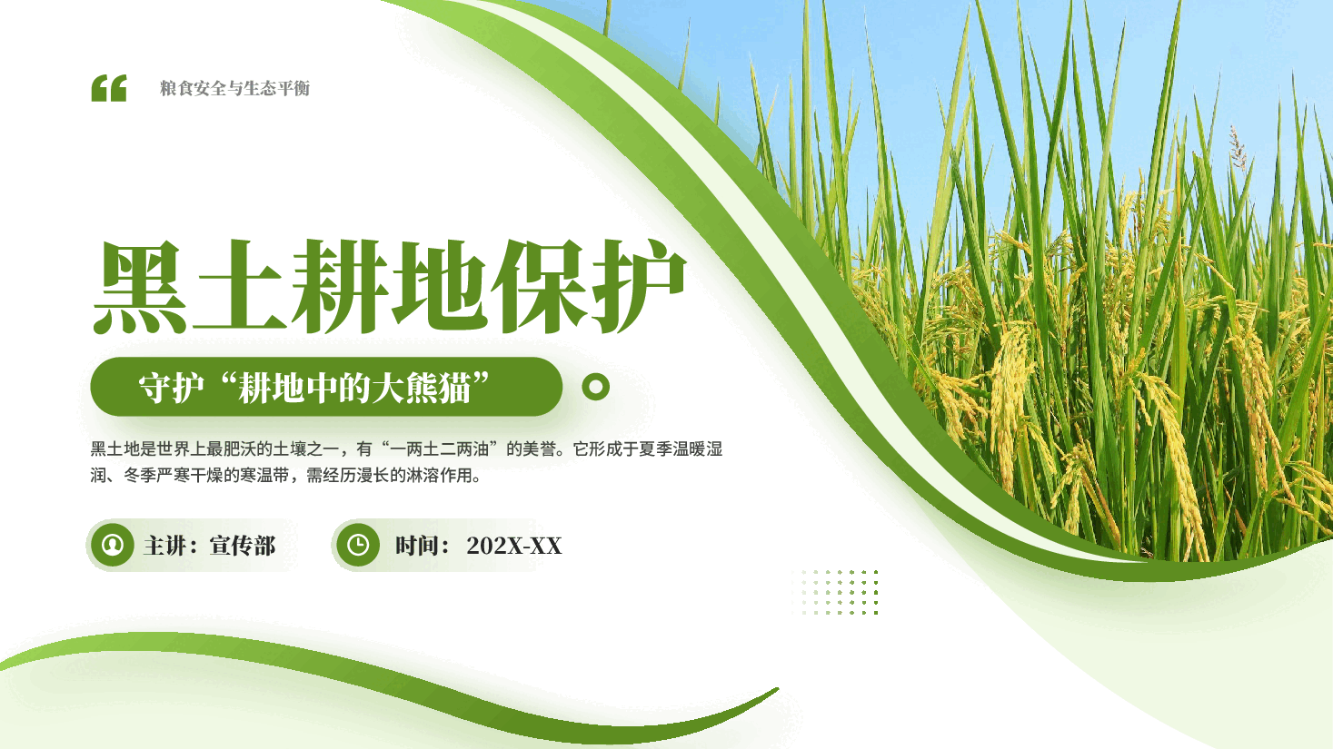 绿色黑土耕地保护守护耕地中的大熊猫粮食安全与生态平衡党课PPT.pptx,第1页预览
