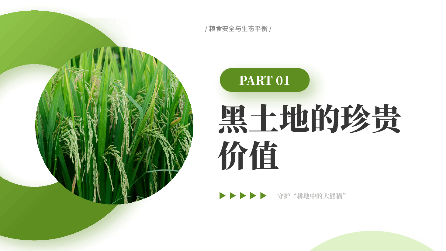 绿色黑土耕地保护守护耕地中的大熊猫粮食安全与生态平衡党课PPT.pptx,第3页预览