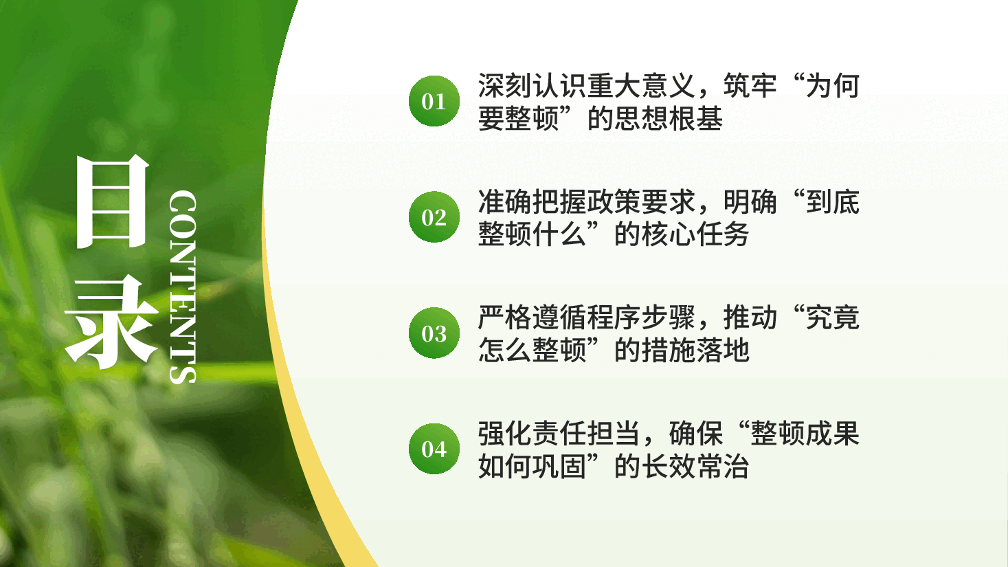 绿色锻造坚强战斗堡垒引领乡村全面振兴基层党组织整顿提升专题党课PPT.pptx,第3页预览